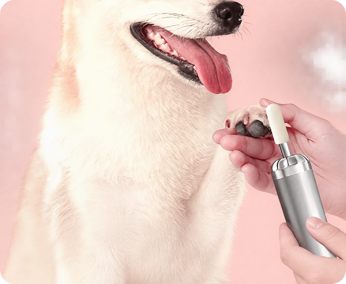 Pet Grinding Head