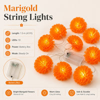1.5 meters with 10 lights