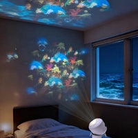 Ocean Collection