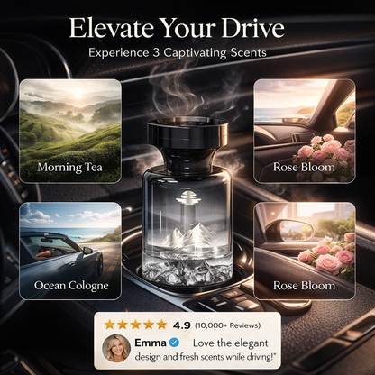 🥳2026 HOT SALE🚗🌿 Long-Lasting Car Air Freshener – Natural plant extracts, eliminates smoke 💨✨